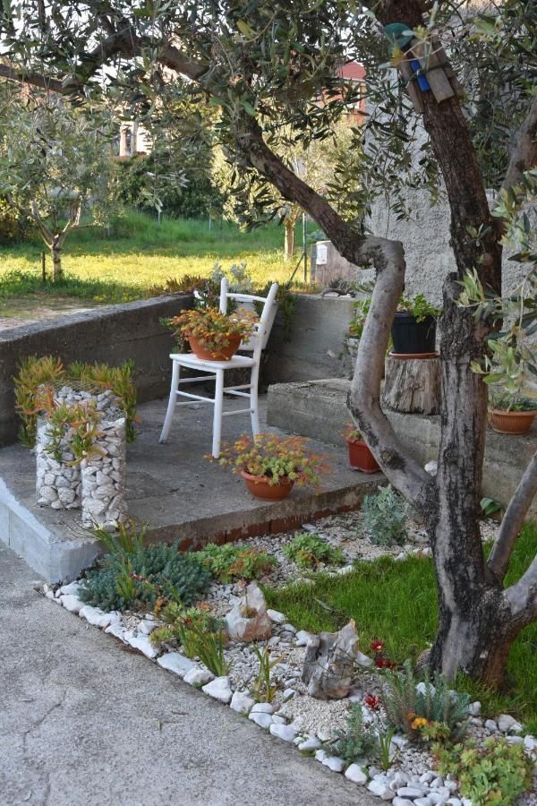 Greenvine Apartment Zadar Exterior photo
