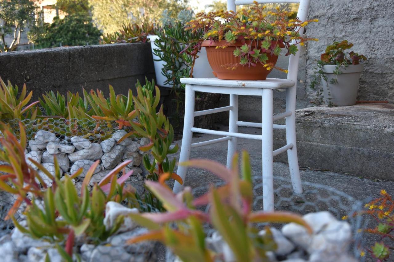 Greenvine Apartment Zadar Exterior photo